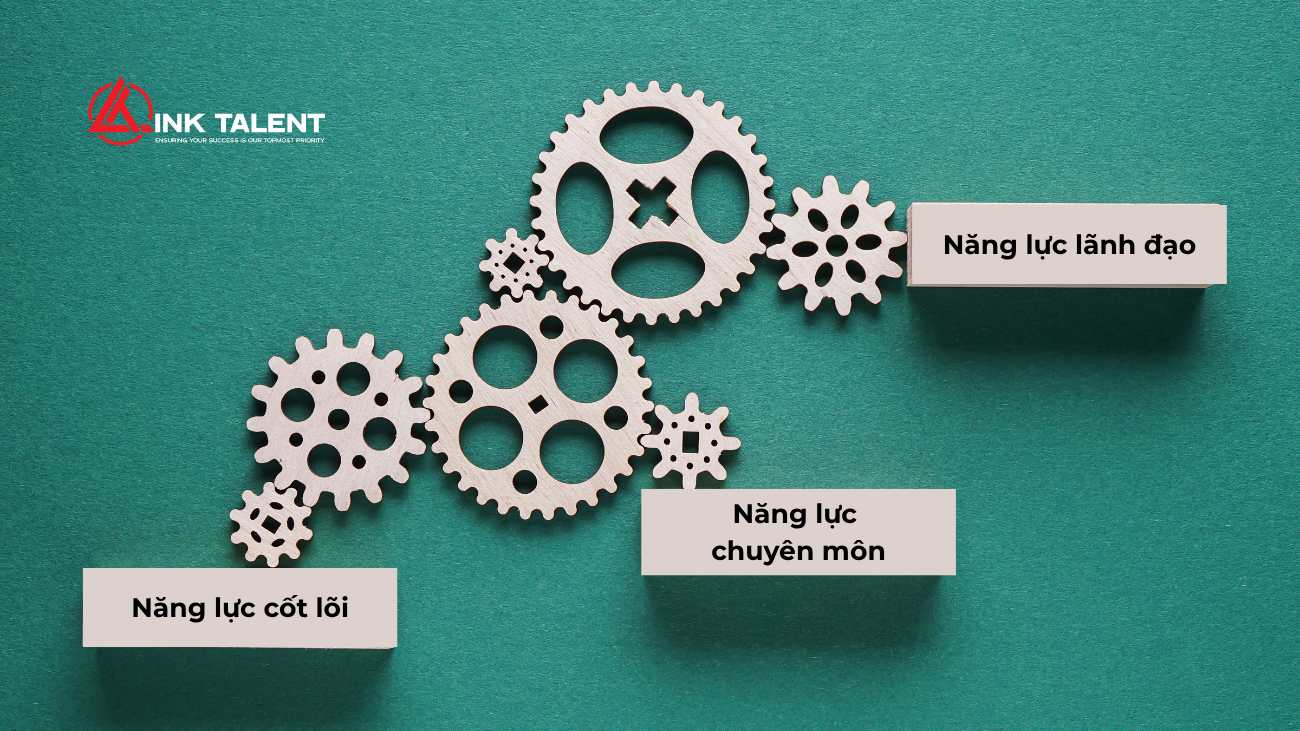 Khung năng lực 3C là gì? Vì sao AI chỉ đóng vai trò nâng cấp?