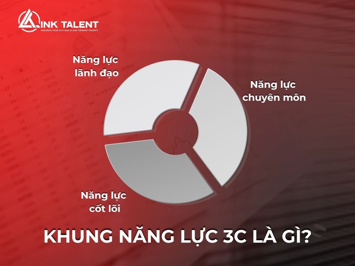 Khung năng lực 3C là gì trong doanh nghiệp