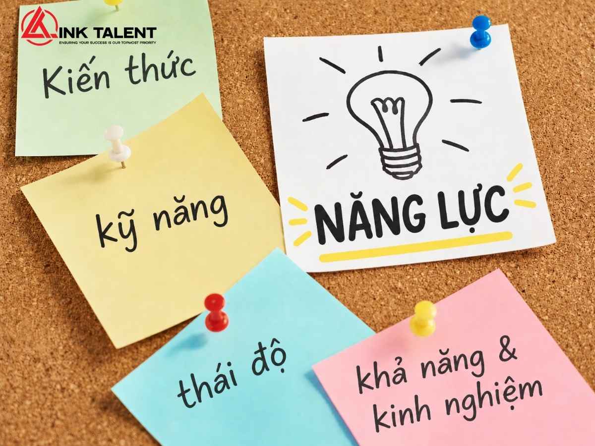 Cấu trúc năng lực