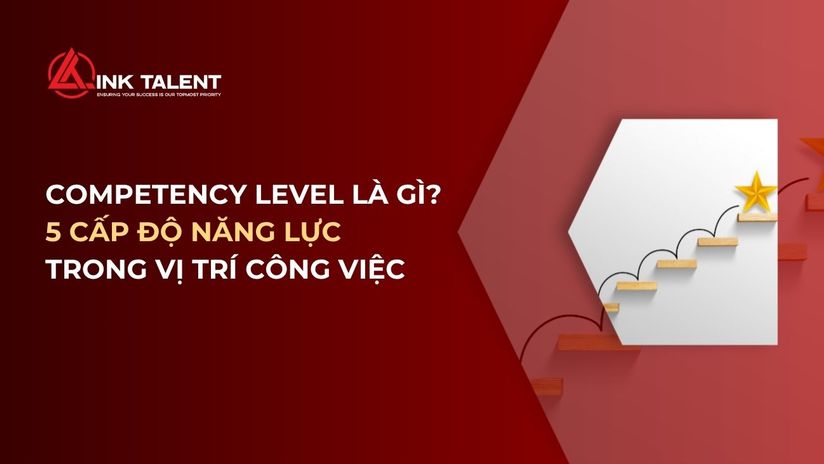 Competency Level là gì? 5 cấp độ năng lực phổ biến trong vị trí công việc