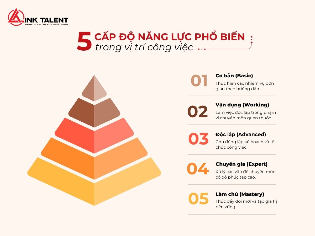 5 cấp độ năng lực phổ biến trong vị trí công việc