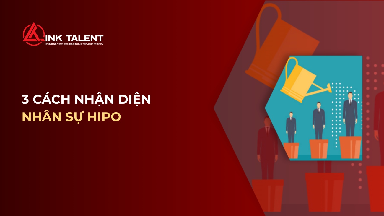 HiPo là gì? 3 cách nhận diện và phát triển nhân viên tiềm năng