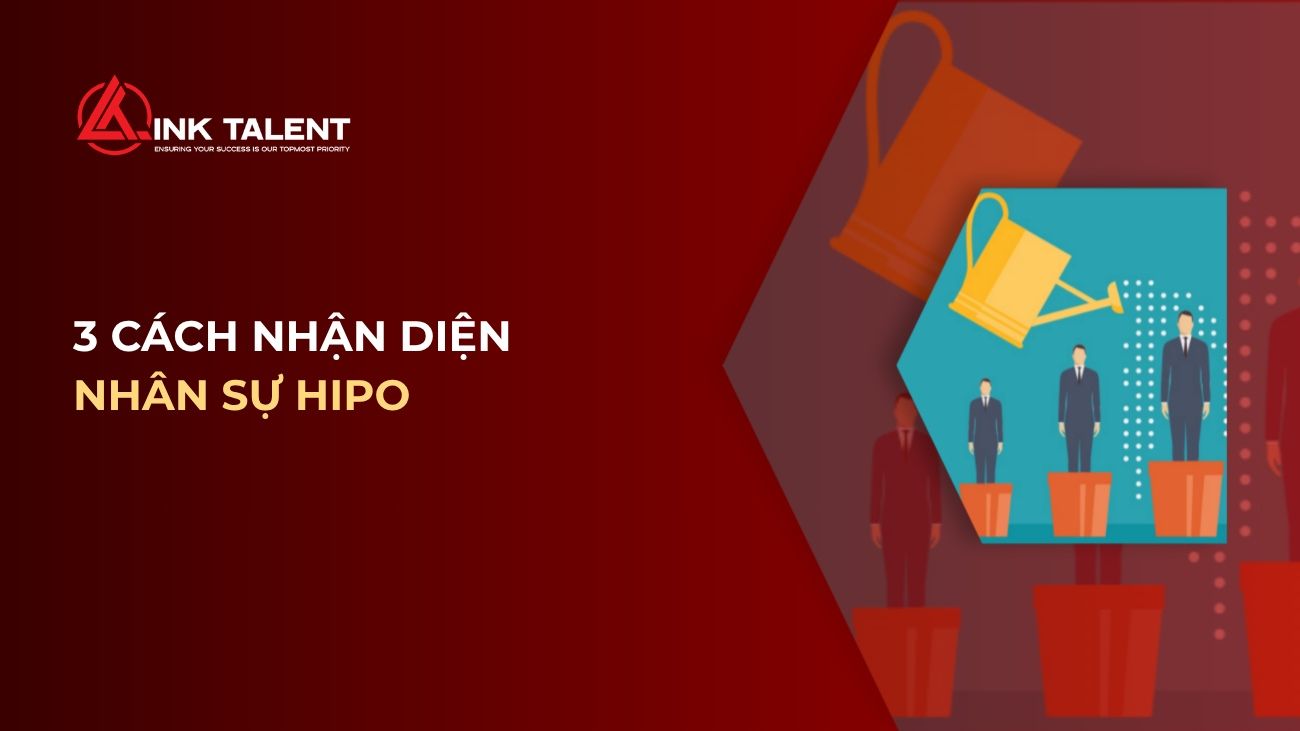 HiPo là gì? 3 cách nhận diện và phát triển nhân viên tiềm năng