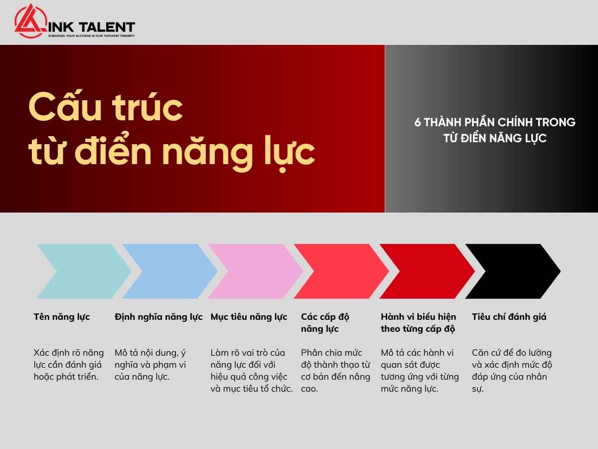Cấu trúc từ điển năng lực