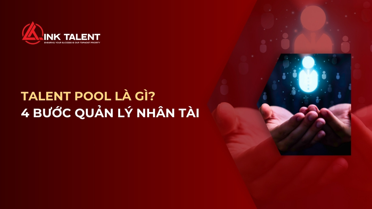 Talent Pool là gì? 4 bước quản lý nguồn nhân tài hiệu quả | Link Talent